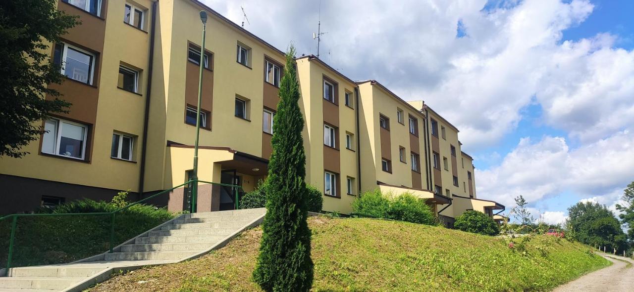 17 Widok